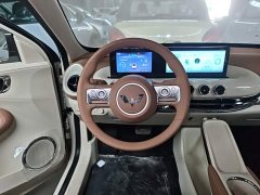 Wuling Binguo 2025 333km Joy Edition - ფოტო 11
