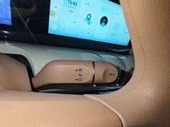 Wuling Binguo 2025 333km Joy Edition - ფოტო 14