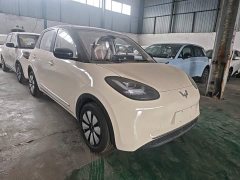 Wuling Binguo 2025 333km Joy Edition - ფოტო 4