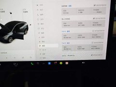 Tesla Model Y Long Range All-Wheel Drive - ფოტო 12