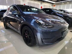 Tesla Model Y Long Range All-Wheel Drive - ფოტო 4