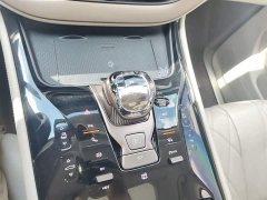 Denza BYD Denza D9 2022 DM-i 970 AWD Premium Edition - ფოტო 14