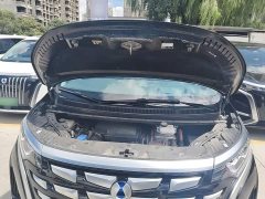 Denza BYD Denza D9 2022 DM-i 970 AWD Premium Edition - ფოტო 20