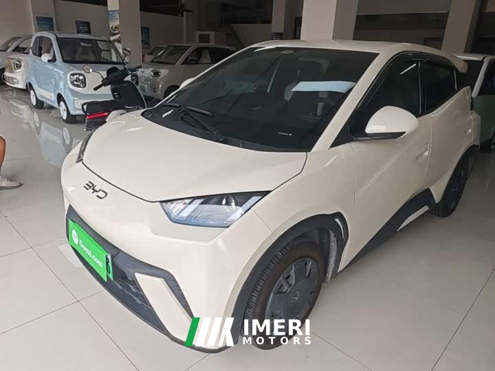 BYD Seagull 305km Vitality Edition