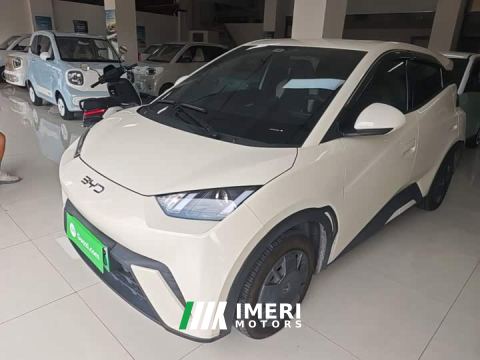 2025 BYD Seagull 305km Vitality Edition