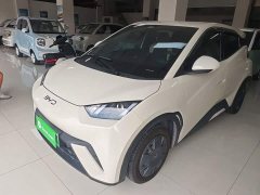 BYD Seagull 305km Vitality Edition - ფოტო 2