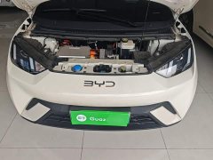 BYD Seagull 305km Vitality Edition - ფოტო 20