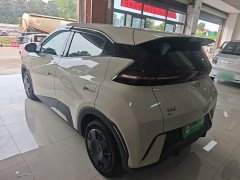 BYD Seagull 305km Vitality Edition - ფოტო 5