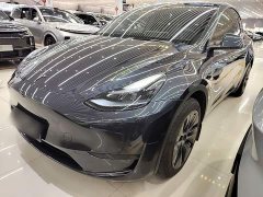 Tesla Model Y 2024 Rear-Wheel Drive - ფოტო 2