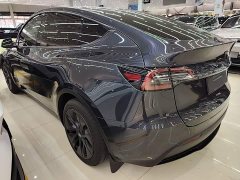 Tesla Model Y 2024 Rear-Wheel Drive - ფოტო 5