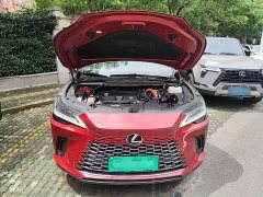 Lexus RX 350h AWD Premium Edition - ფოტო 20