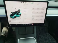Tesla Model Y 2023 Rear-Wheel Drive - ფოტო 13