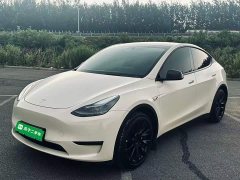 Tesla Model Y Standard Range RWD - ფოტო 1