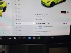 Tesla Model Y Standard Range RWD - ფოტო 12