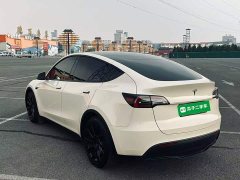 Tesla Model Y Standard Range RWD - ფოტო 5
