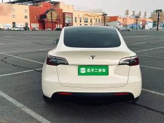Tesla Model Y Standard Range RWD - ფოტო 6