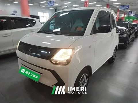 2024 Fengon MINIEV Stylish Luxury Edition