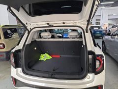 Arcfox Koala S 2024 PRO - ფოტო 19