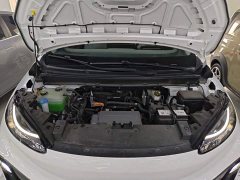 Arcfox Koala S 2024 PRO - ფოტო 20