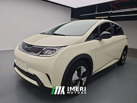 2024 BYD Dolphin 420km Freedom Edition