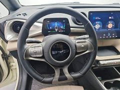 BYD Dolphin 2023 420km Freedom Edition - ფოტო 11
