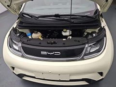 BYD Dolphin 2023 420km Freedom Edition - ფოტო 20