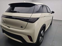 BYD Dolphin 2023 420km Freedom Edition - ფოტო 7