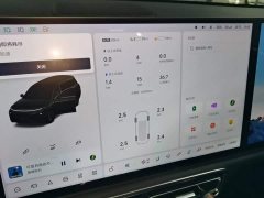 Li Auto L9 Max - ფოტო 12
