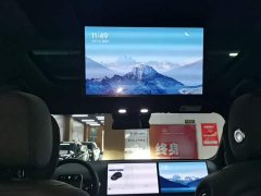 Li Auto L9 Max - ფოტო 18