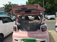 FAW Besturn Xiaoma 170km Yuanqi Ma - ფოტო 19