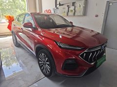 Changan Oushan X5 1.5T DCT Luxury - ფოტო 4