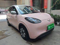 Wuling Binguo 333km Joy Edition - ფოტო 4
