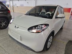 Wuling Binguo 203km Light Enjoy Edition - ფოტო 1