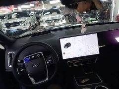 Li Auto L8 Pro - ფოტო 10