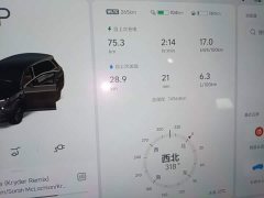 Li Auto L8 Pro - ფოტო 12