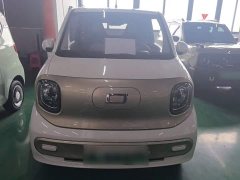 FAW Besturn Xiaoma 170km Vitality Edition - ფოტო 3