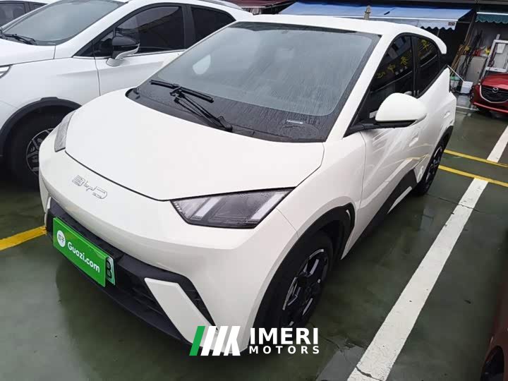 BYD Seagull 2023 Freedom Edition - ავტომობილი ჩინეთიდან