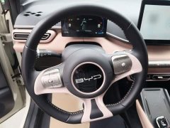 BYD Seagull 2023 Freedom Edition - ფოტო 11