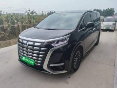 Denza BYD Denza D9 DM-i 1050 Premium - ფოტო 1