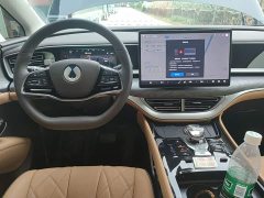 Denza BYD Denza D9 DM-i 1050 Premium - ფოტო 10