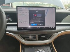 Denza BYD Denza D9 DM-i 1050 Premium - ფოტო 13