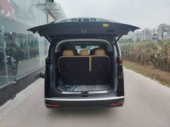 Denza BYD Denza D9 DM-i 1050 Premium - ფოტო 19