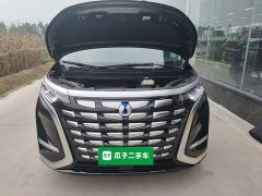 Denza BYD Denza D9 DM-i 1050 Premium - ფოტო 20