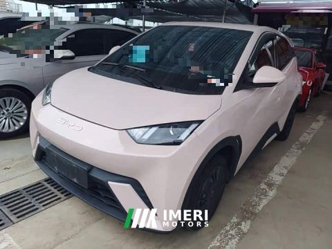 2024 BYD Seagull Glory Edition 305km Vitality Version