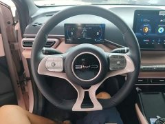 BYD Seagull Glory Edition 305km Vitality Version - ფოტო 11