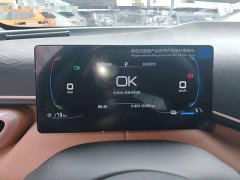 BYD Seagull Glory Edition 305km Vitality Version - ფოტო 12