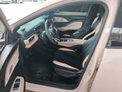 BYD Seagull Glory Edition 305km Vitality Version - ფოტო 15
