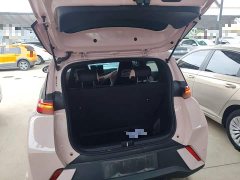BYD Seagull Glory Edition 305km Vitality Version - ფოტო 19