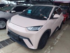 BYD Seagull Glory Edition 305km Vitality Version - ფოტო 2