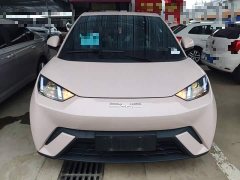 BYD Seagull Glory Edition 305km Vitality Version - ფოტო 3